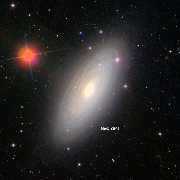 SDSS image of region near spiral galaxy NGC 2841