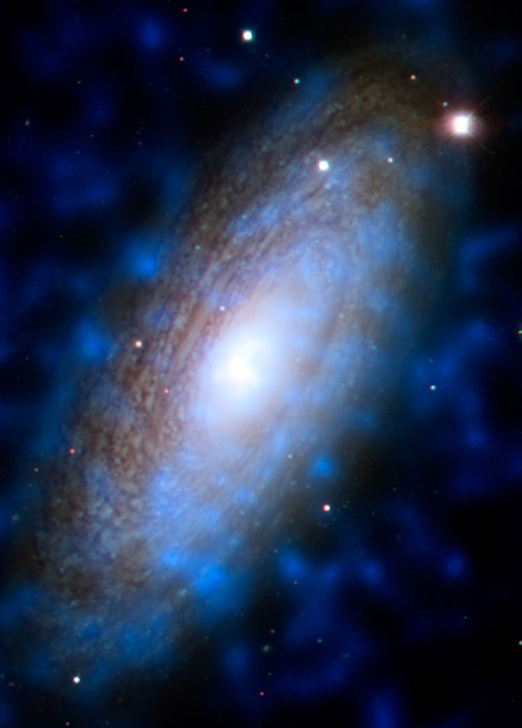 Composite of X-ray and visible-light images of spiral galaxy NGC 2841