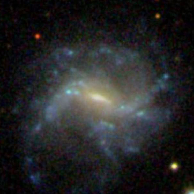 SDSS image of spiral galaxy NGC 2900