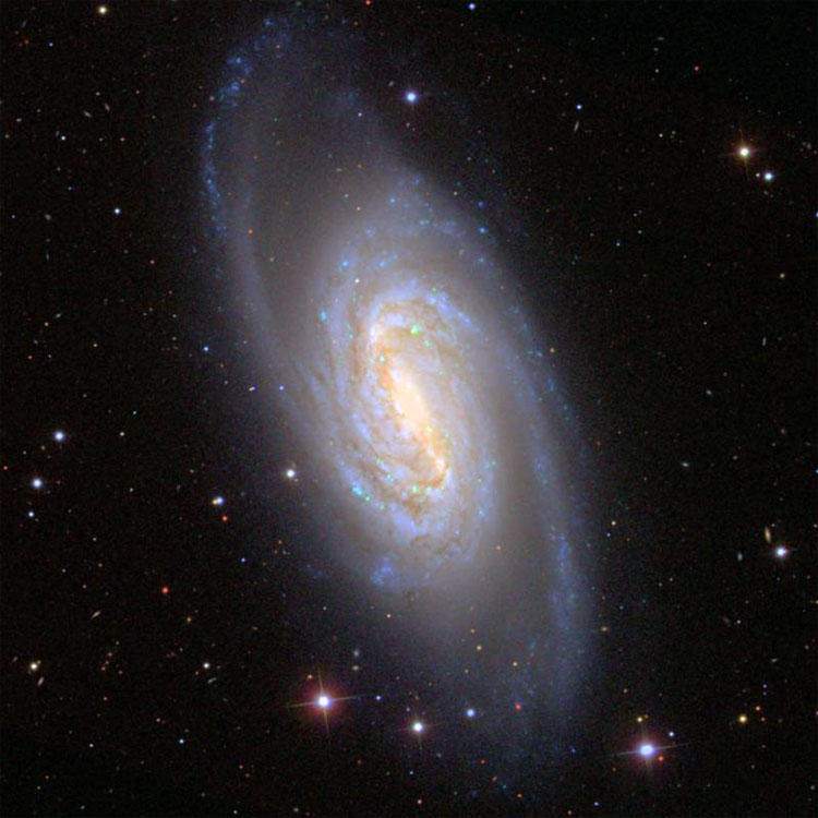 SDSS image of spiral galaxy NGC 2903