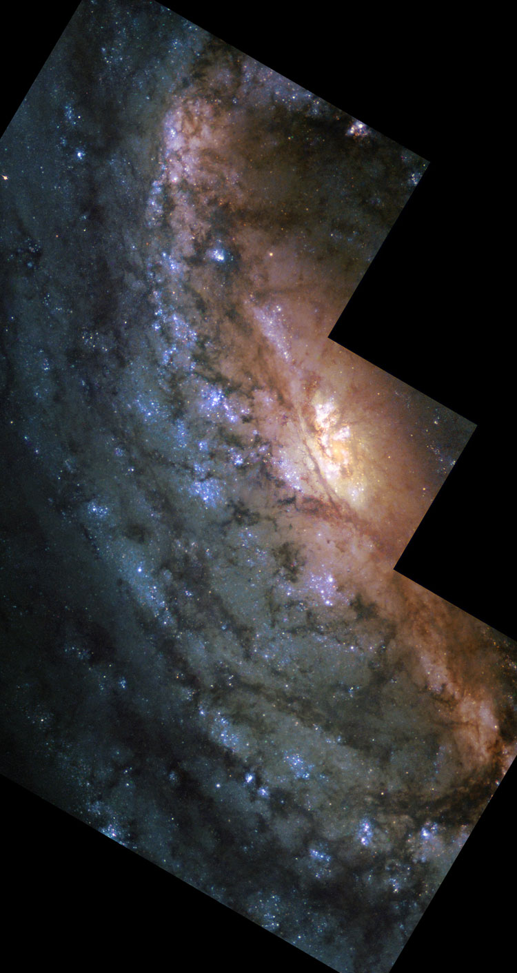 2001 HST image of central bar and eastern portion of spiral galaxy NGC 2903