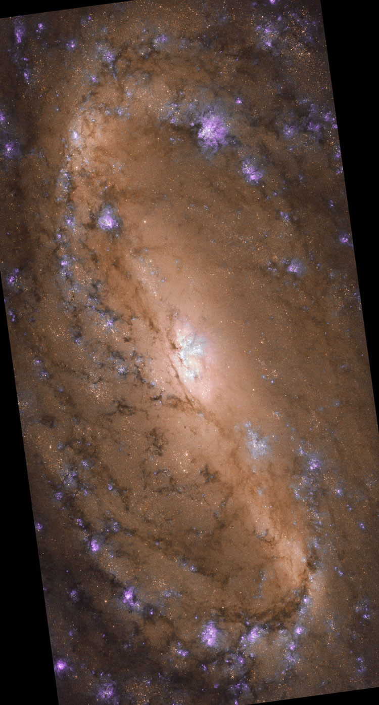 2019 HST image of most of spiral galaxy NGC 2903
