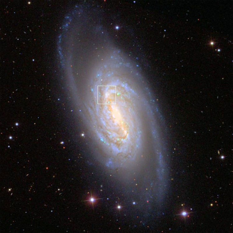 SDSS image of spiral galaxy NGC 2903, showing the location of star-forming region NGC 2905