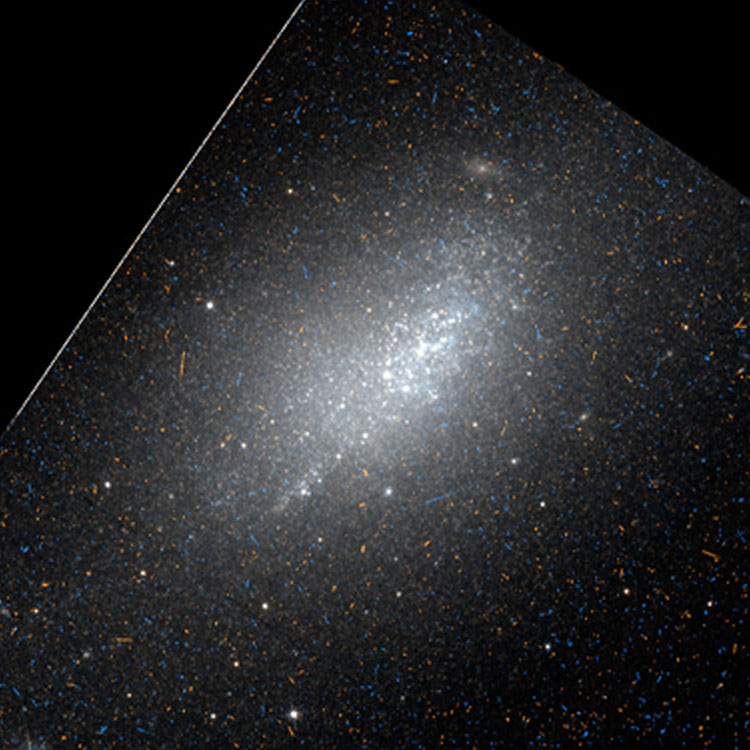 'Raw' HST image of the core of peculiar spiral galaxy NGC 2915