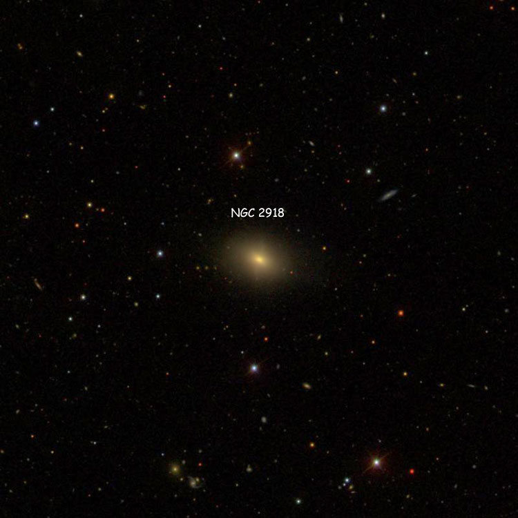 SDSS image of region near lenticular galaxy NGC 2918
