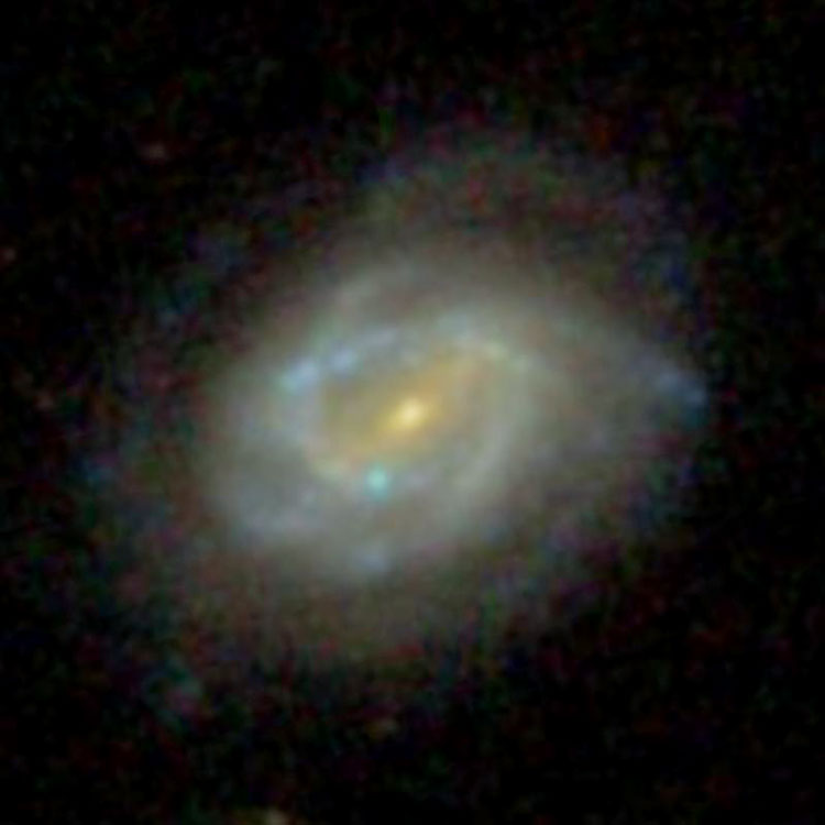 SDSS image of spiral galaxy NGC 2926