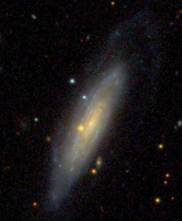 SDSS image of spiral galaxy NGC 2939