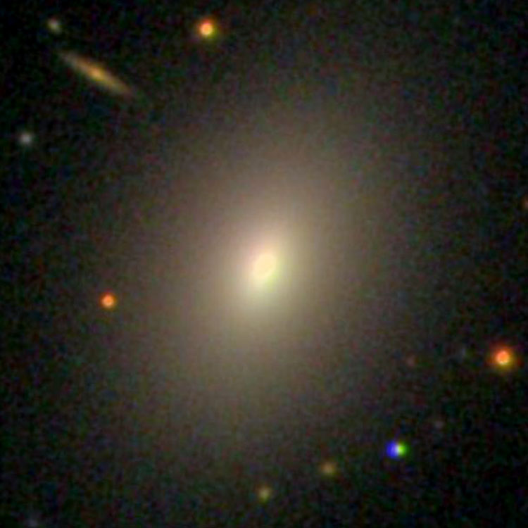 SDSS image of elliptical galaxy NGC 2954