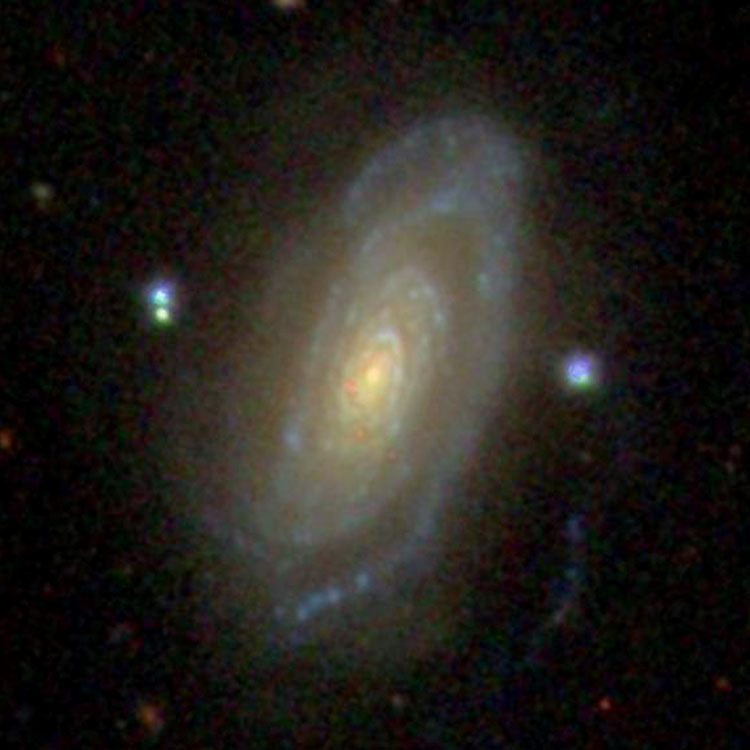 SDSS image of spiral galaxy NGC 2955