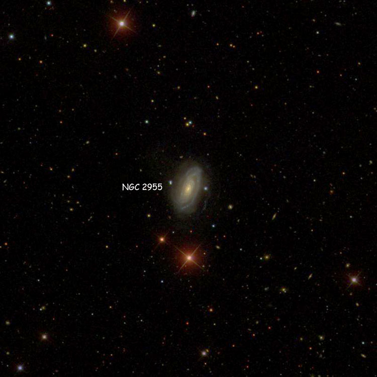 SDSS image of region near spiral galaxy NGC 2955