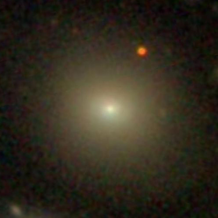 SDSS image of elliptical galaxy NGC 2970