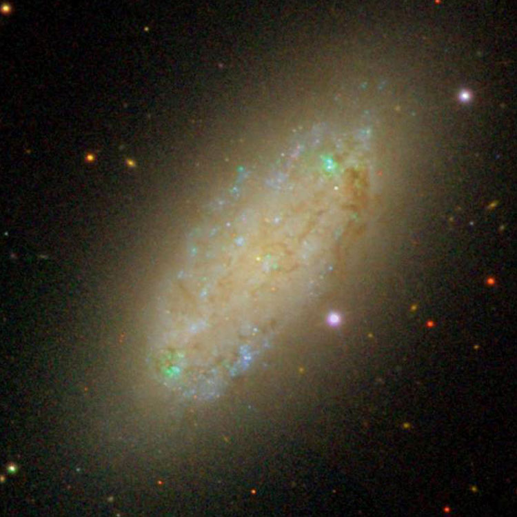 SDSS image of spiral galaxy NGC 2976