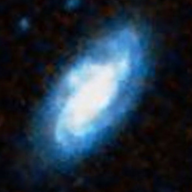 DSS image of spiral galaxy NGC 2977