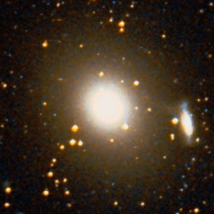 DSS image of elliptical galaxy NGC 2986