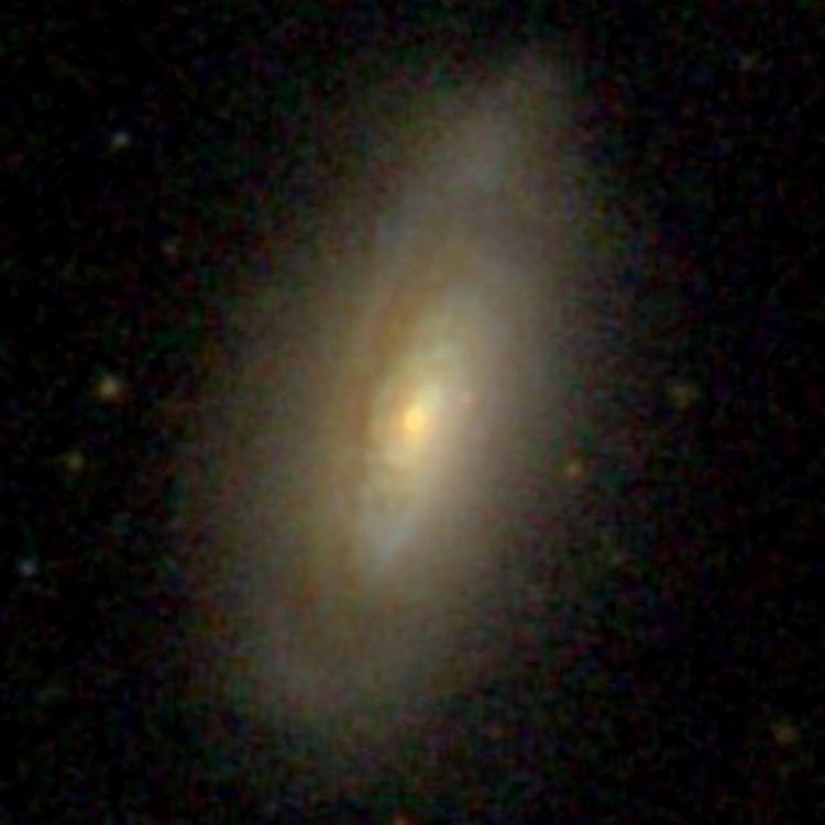 SDSS image of spiral galaxy NGC 2987