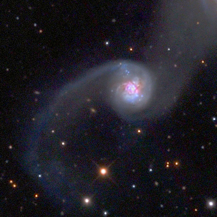 Mount Lemmon SkyCenter image of spiral galaxy NGC 2993, which is part of Arp 245
