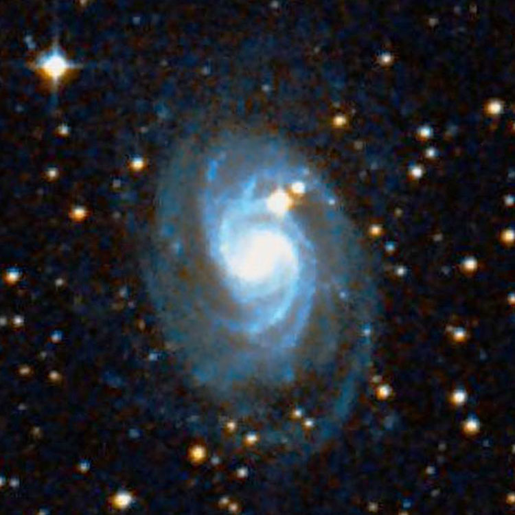 DSS image of spiral galaxy NGC 3001