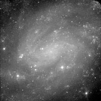 de Vaucouleurs Atlas of Galaxies image of page for NGC 300
