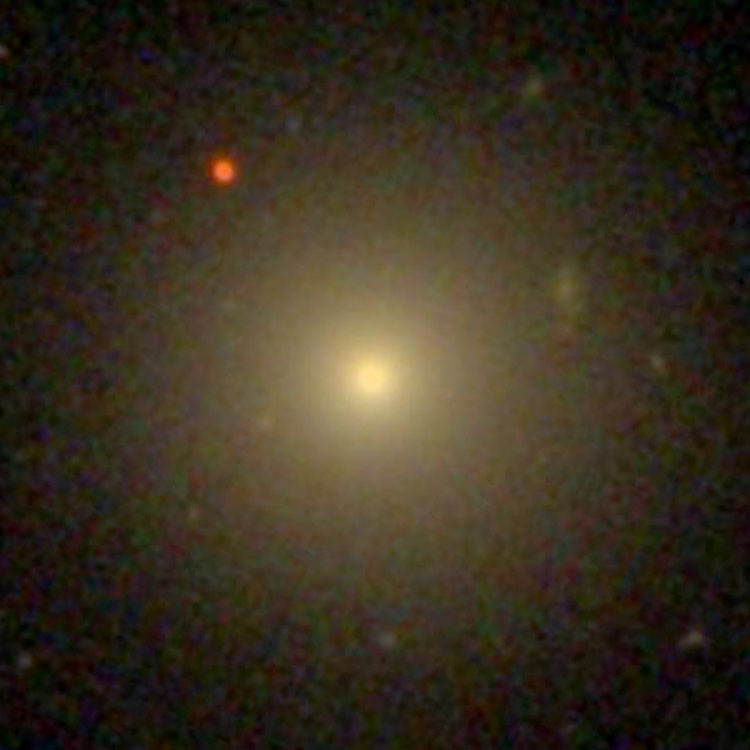 SDSS image of elliptical galaxy NGC 3012