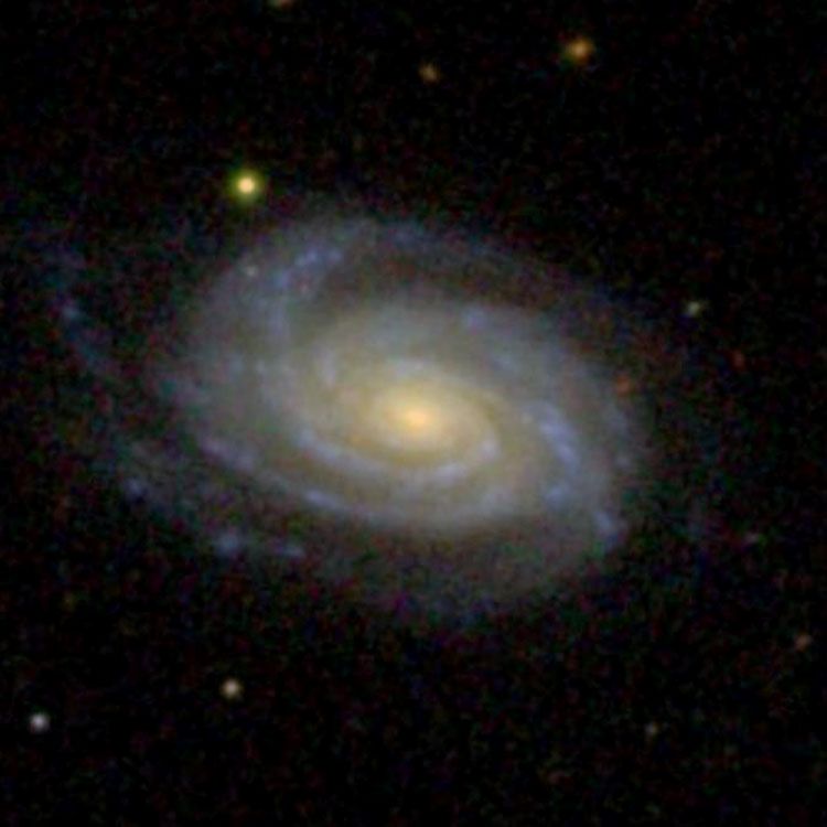 SDSS image of spiral galaxy NGC 3016