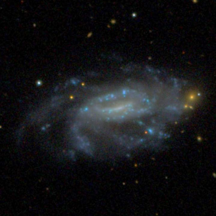 SDSS image of spiral galaxy NGC 3020