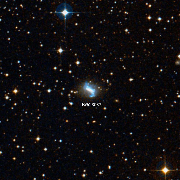 DSS image of region near spiral galaxy NGC 3037