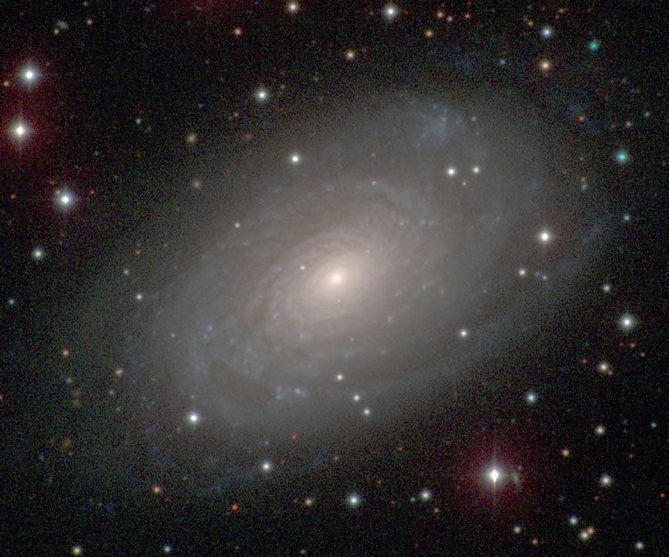 Carnegie-Irvine Galaxy Survey image of spiral galaxy NGC 3038