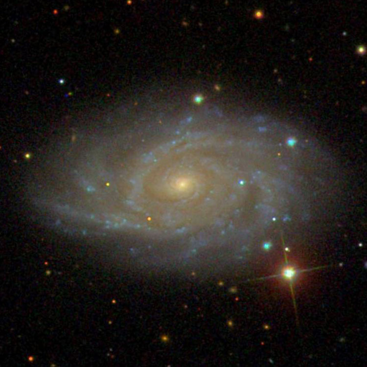 SDSS image of spiral galaxy NGC 3041