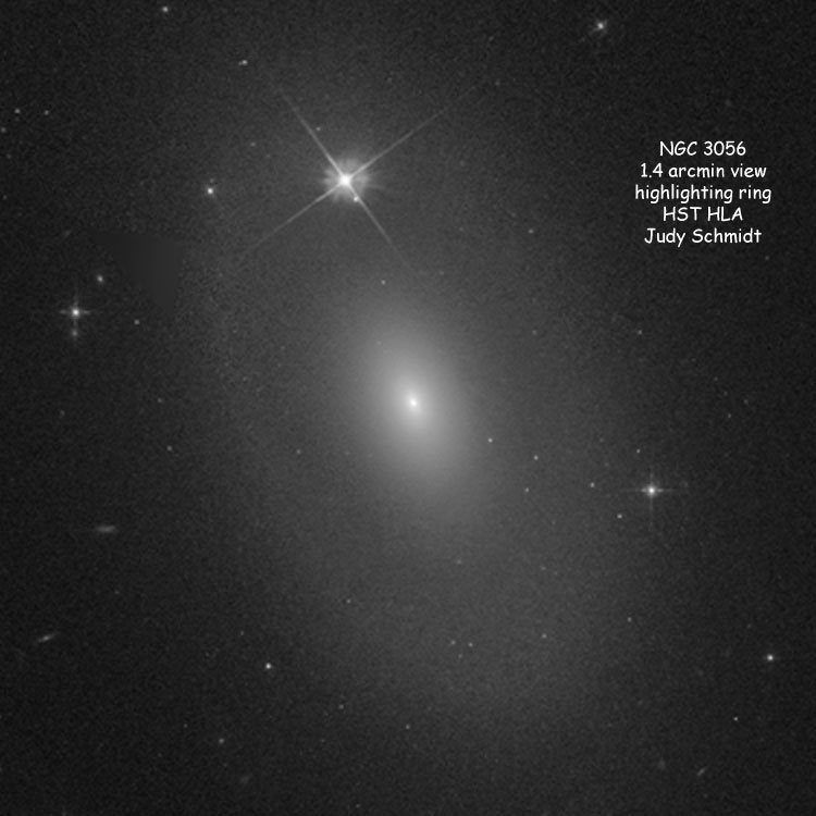 HST image of lenticular galaxy NGC 3056 highlighting its ring structure