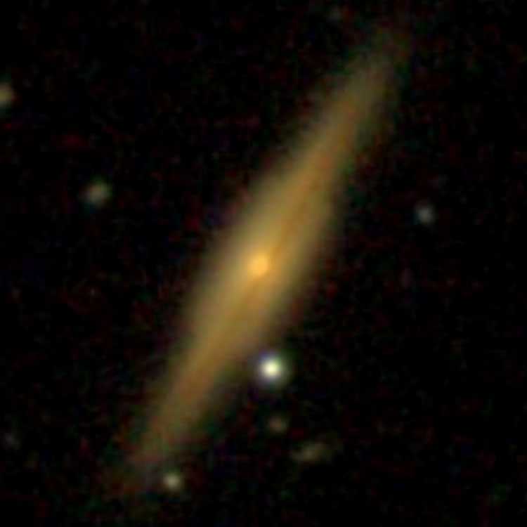 SDSS image of spiral galaxy NGC 3101