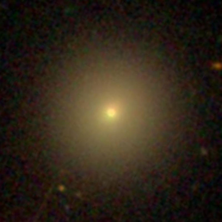 SDSS image of lenticular galaxy NGC 3102