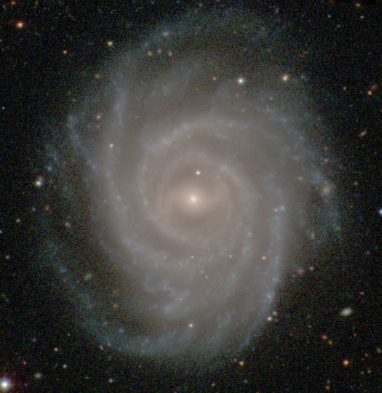 Carnegie-Irvine Galaxy Survey image of spiral galaxy NGC 3124