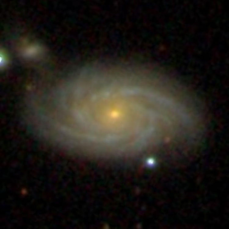 SDSS image of spiral galaxy NGC 3135