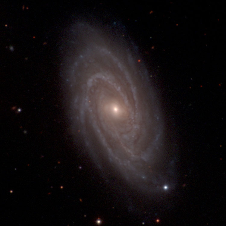 Carnegie-Irvine Galaxy Survey image of spiral galaxy NGC 3145