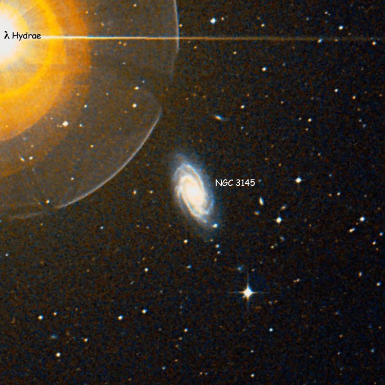 DSS image of region near spiral galaxy NGC 3145
