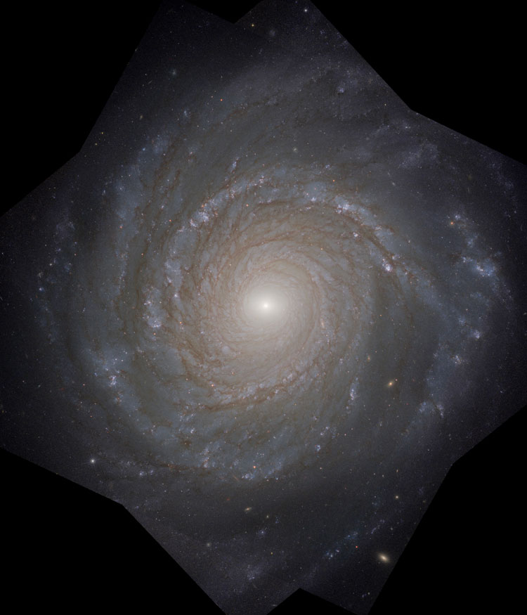 HST image of spiral galaxy NGC 3147