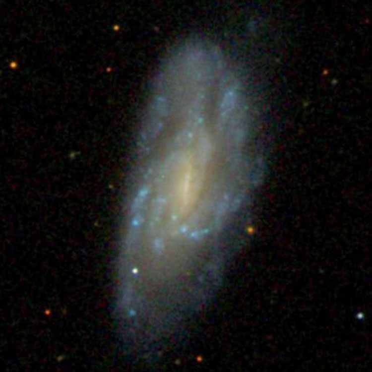 SDSS image of spiral galaxy NGC 3153