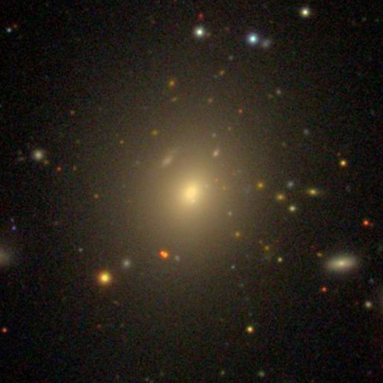 SDSS image of elliptical galaxy NGC 3158