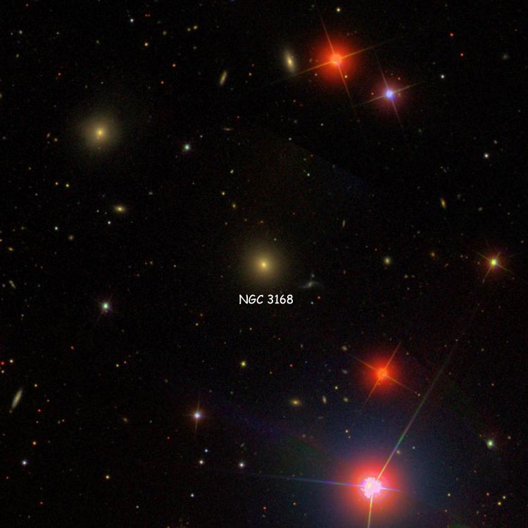 SDSS image of region near elliptical galaxy NGC 3168
