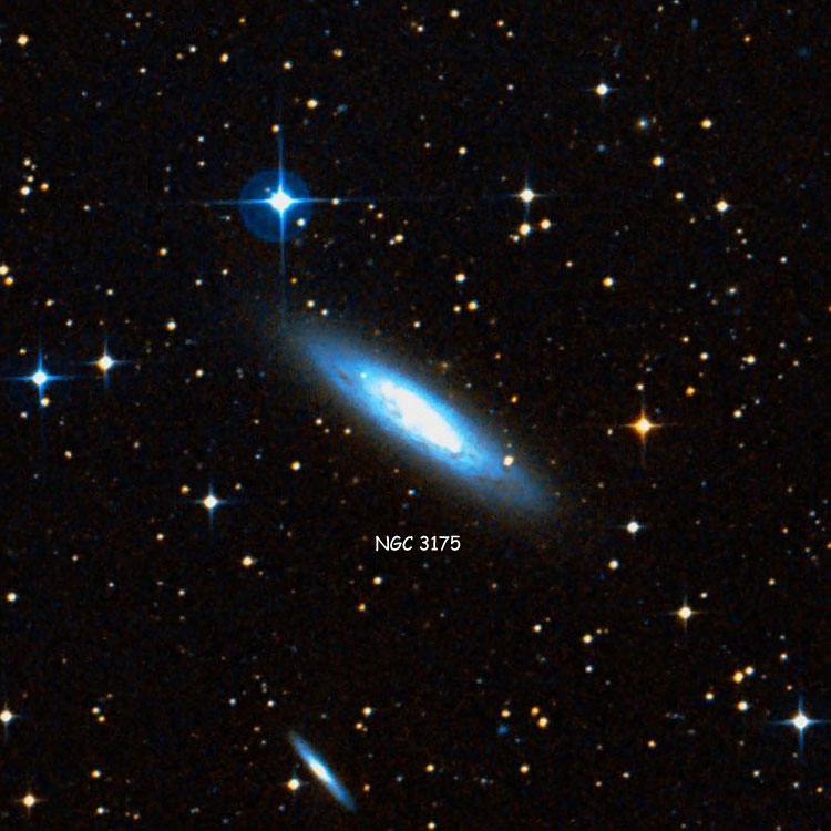 DSS image of region near spiral galaxy NGC 3175