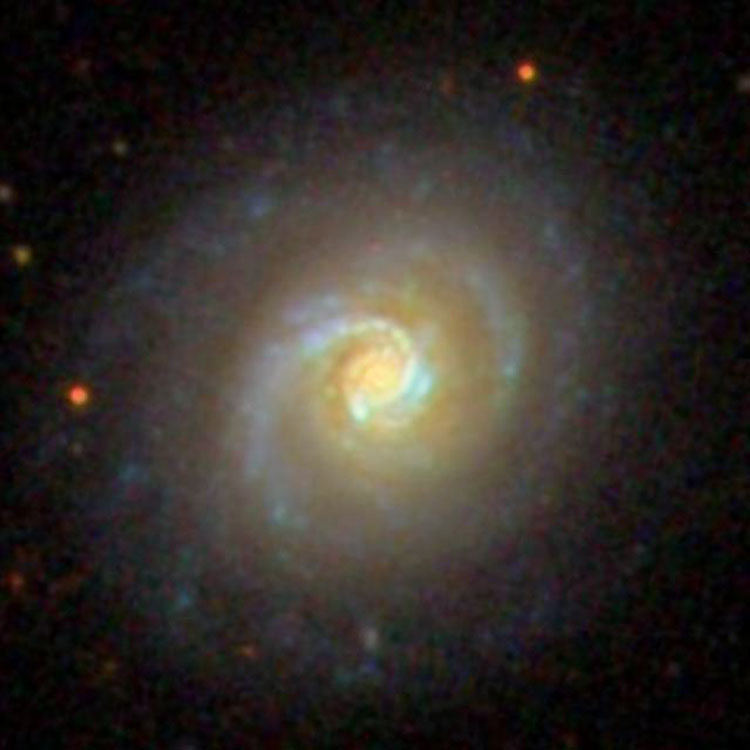 SDSS image of spiral galaxy NGC 3177