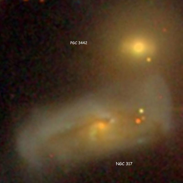 SDSS image of spiral galaxy NGC 317 and lenticular galaxy PGC 3442, showing only their central regions