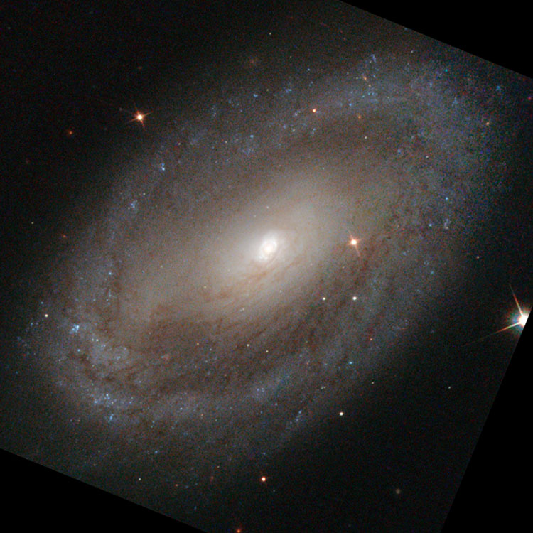 HST image of central portion of spiral galaxy NGC 3185, a member of Hickson Compact Group 44