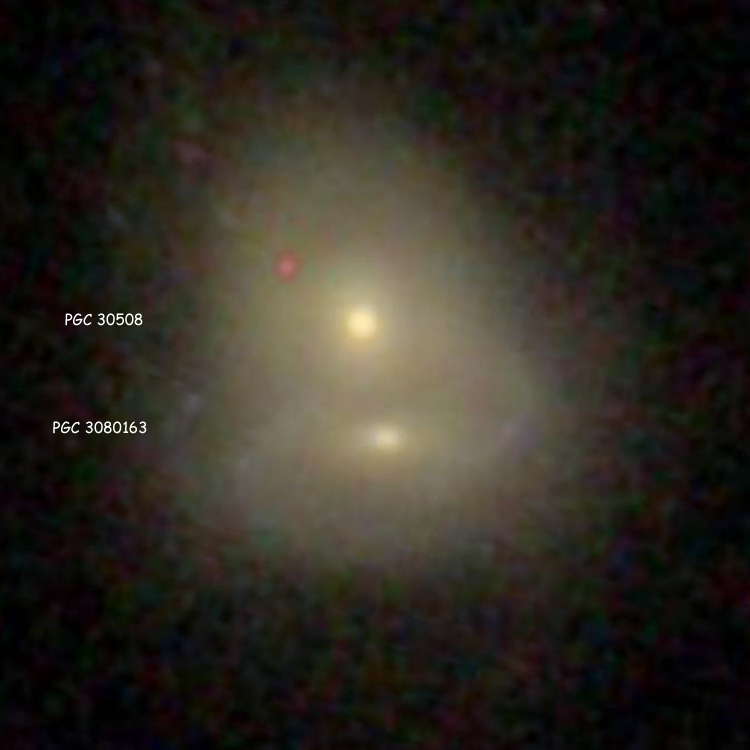 SDSS image of lenticular galaxy PGC 30508 and spiral galaxy PGC 3080163, which are listed as NGC 3232