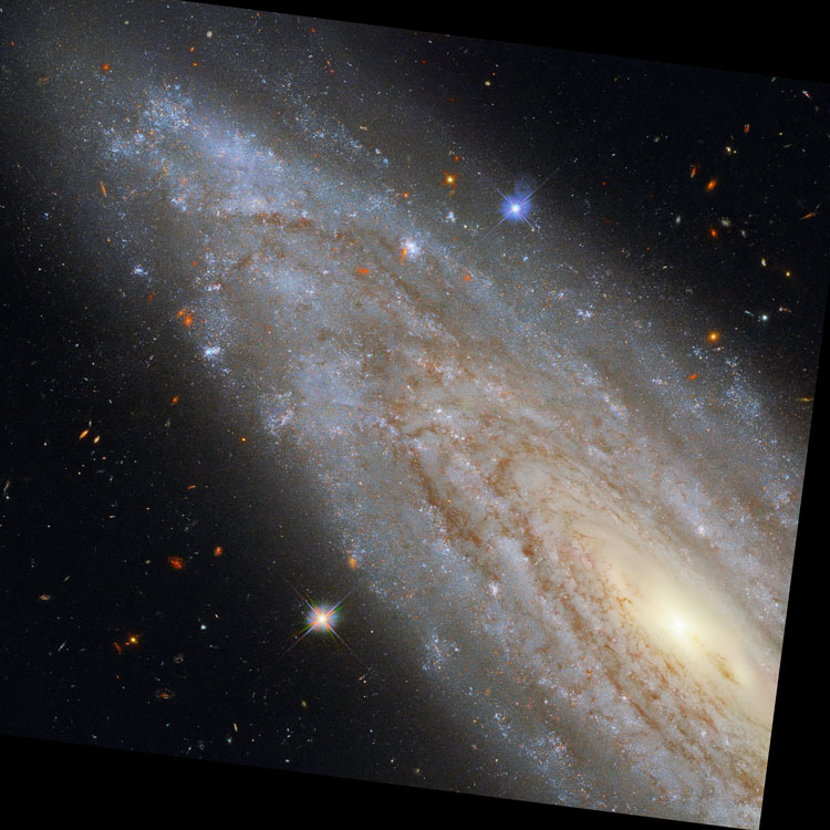 HST image of the northeastern part of spiral galaxy NGC 3254