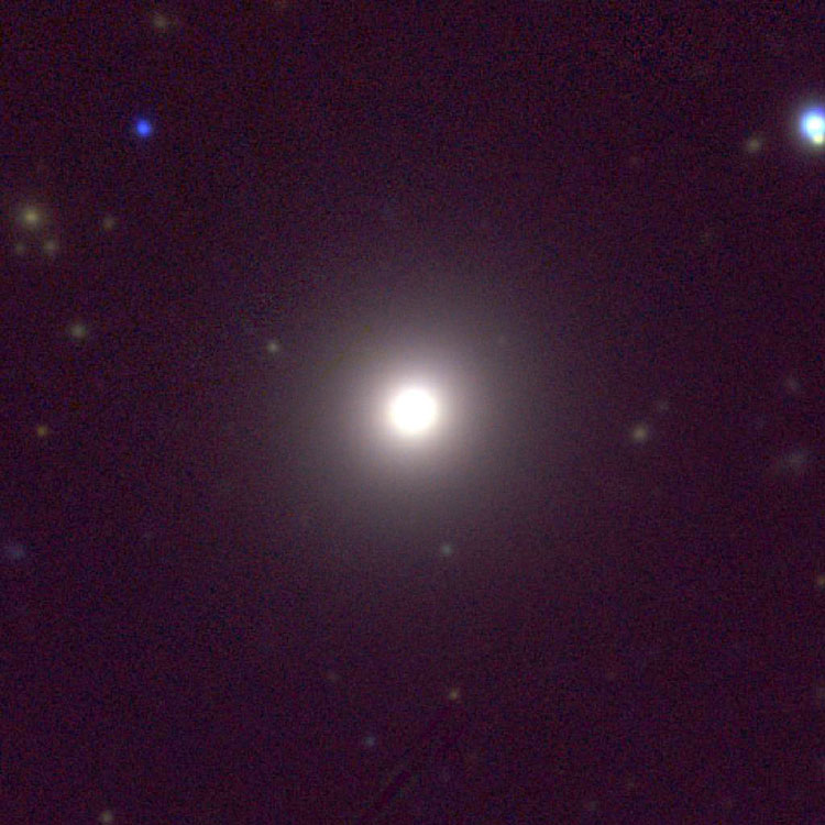 PanSTARRS image of elliptical galaxy NGC 3305
