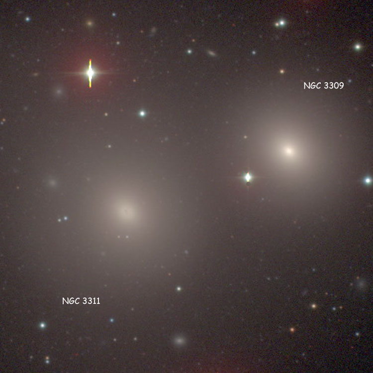 Carnegie-Irvine Galaxy Survey image of interacting elliptical galaxies  NGC 3309 and NGC 3311