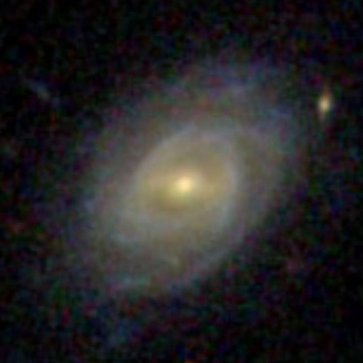 SDSS image of spiral galaxy PGC 2759, which is probably but not indisputably NGC 331