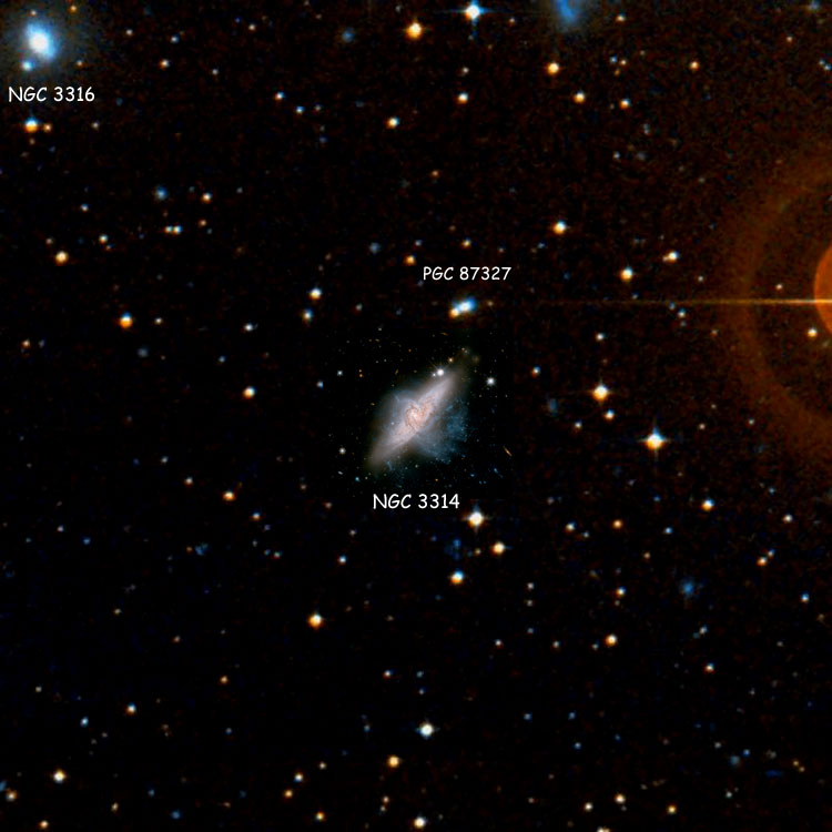 HST image of overlapping spiral galaxies PGC 31531 and PGC 31532, which comprise NGC 3314, overlaid on a DSS background to fill in missing areas; also shown are NGC 3316 and PGC 87327, which is sometimes called NGC 3314B