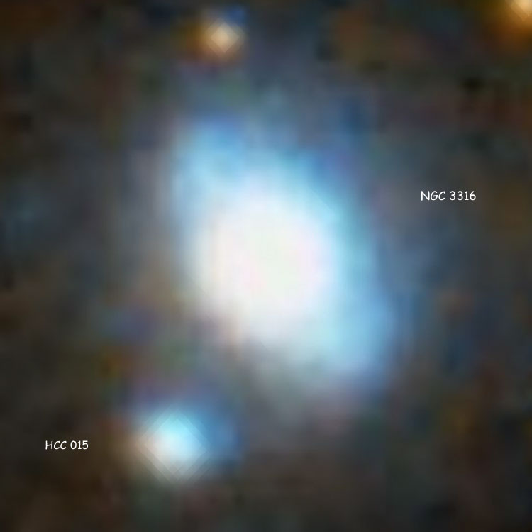 DSS image of lenticular galaxy NGC 3316 and its apparent companion, HCC 015